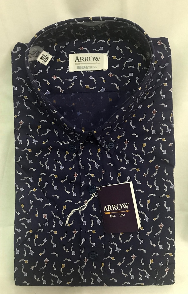 Camisa Arrow Día del Padre 2023 [CABTSE3030W]