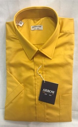 Camisa Arrow Día del Padre 2023 [CABSSL2950W]